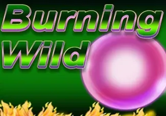 Burning Wild game icon